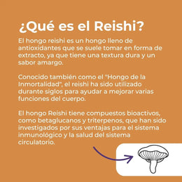 Gominolas de Reishi