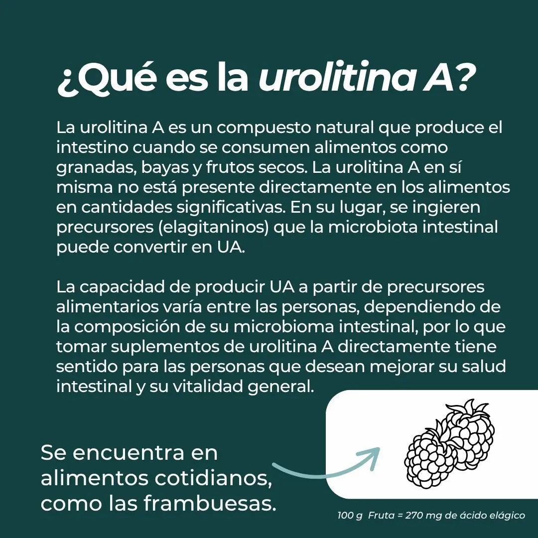Urolitina A