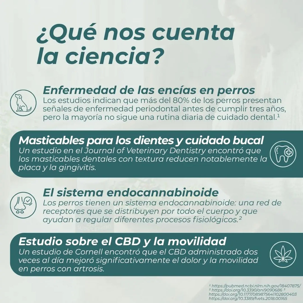 Barritas dentales con CBD para perros