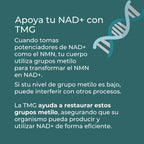 Suplemento TMG