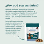 Chuches CBD relajantes para perros
