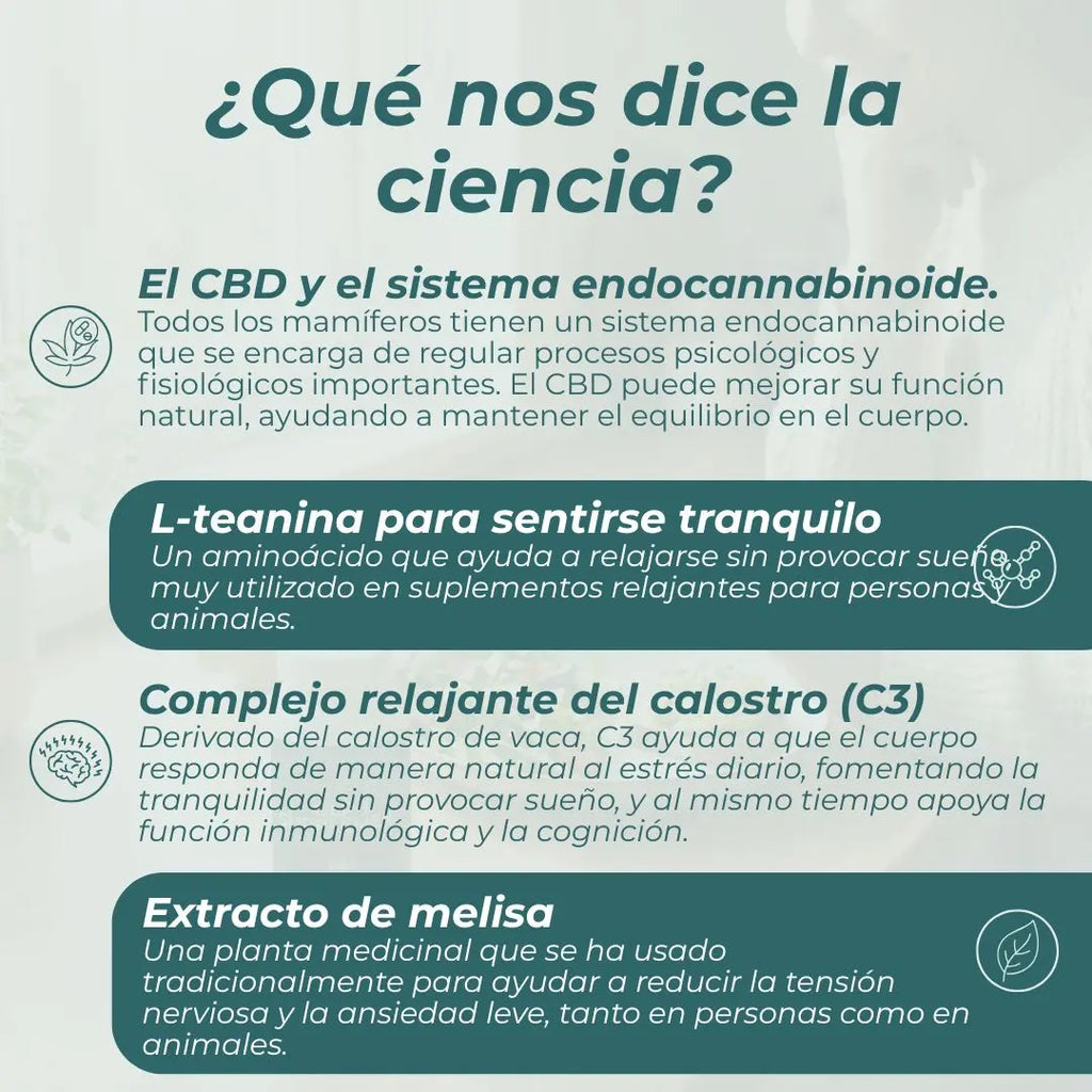 Chuches CBD relajantes para perros
