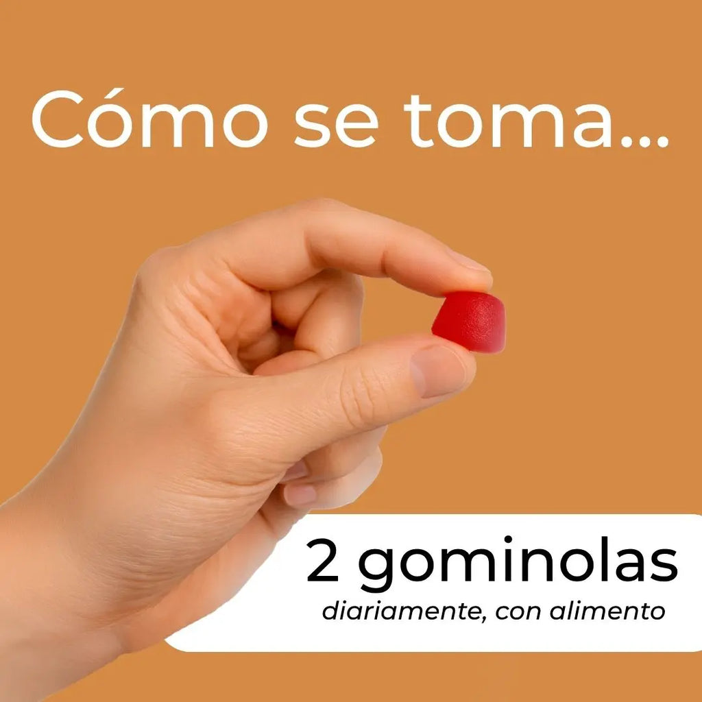 Gominolas de Reishi