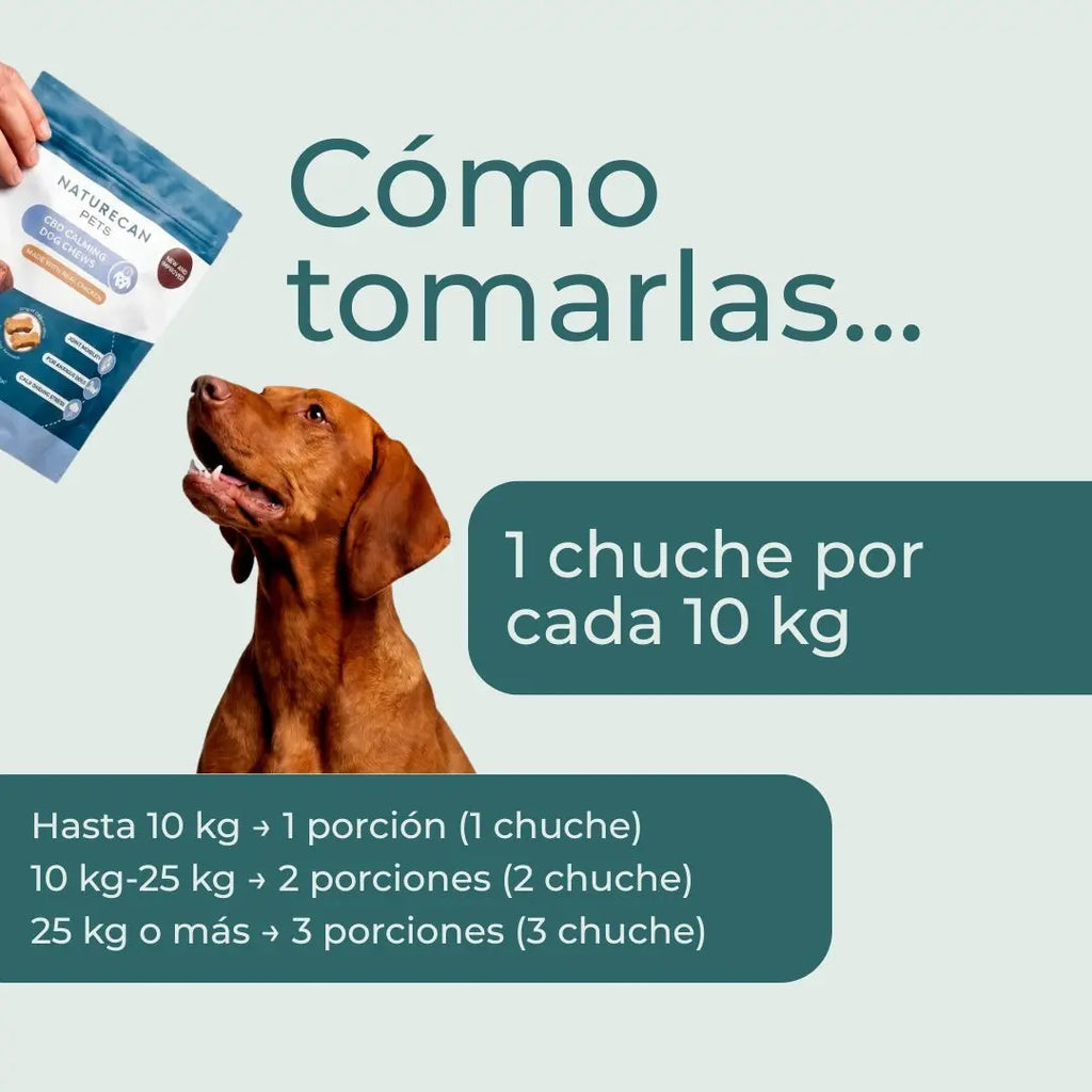 Chuches CBD relajantes para perros