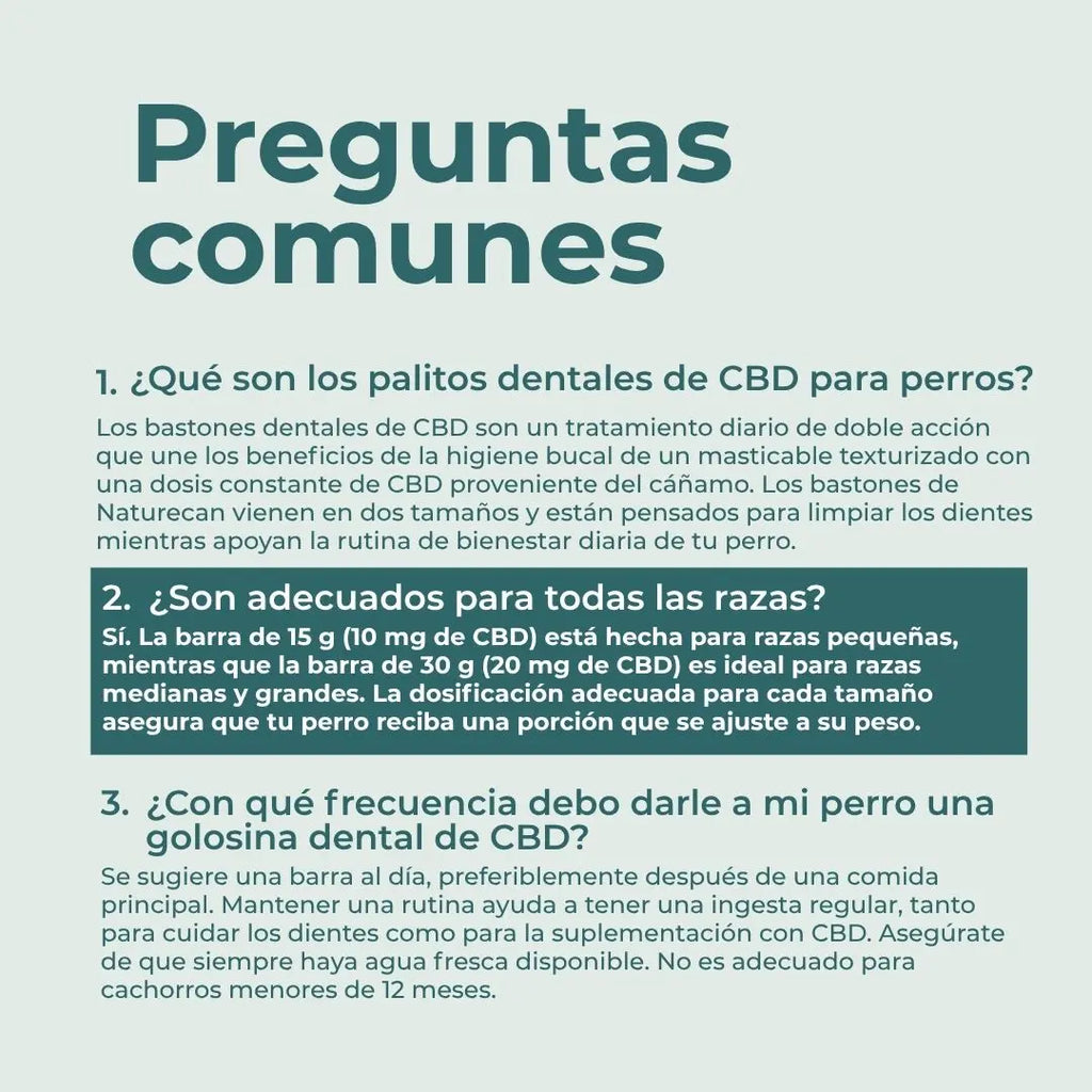 Barritas dentales con CBD para perros