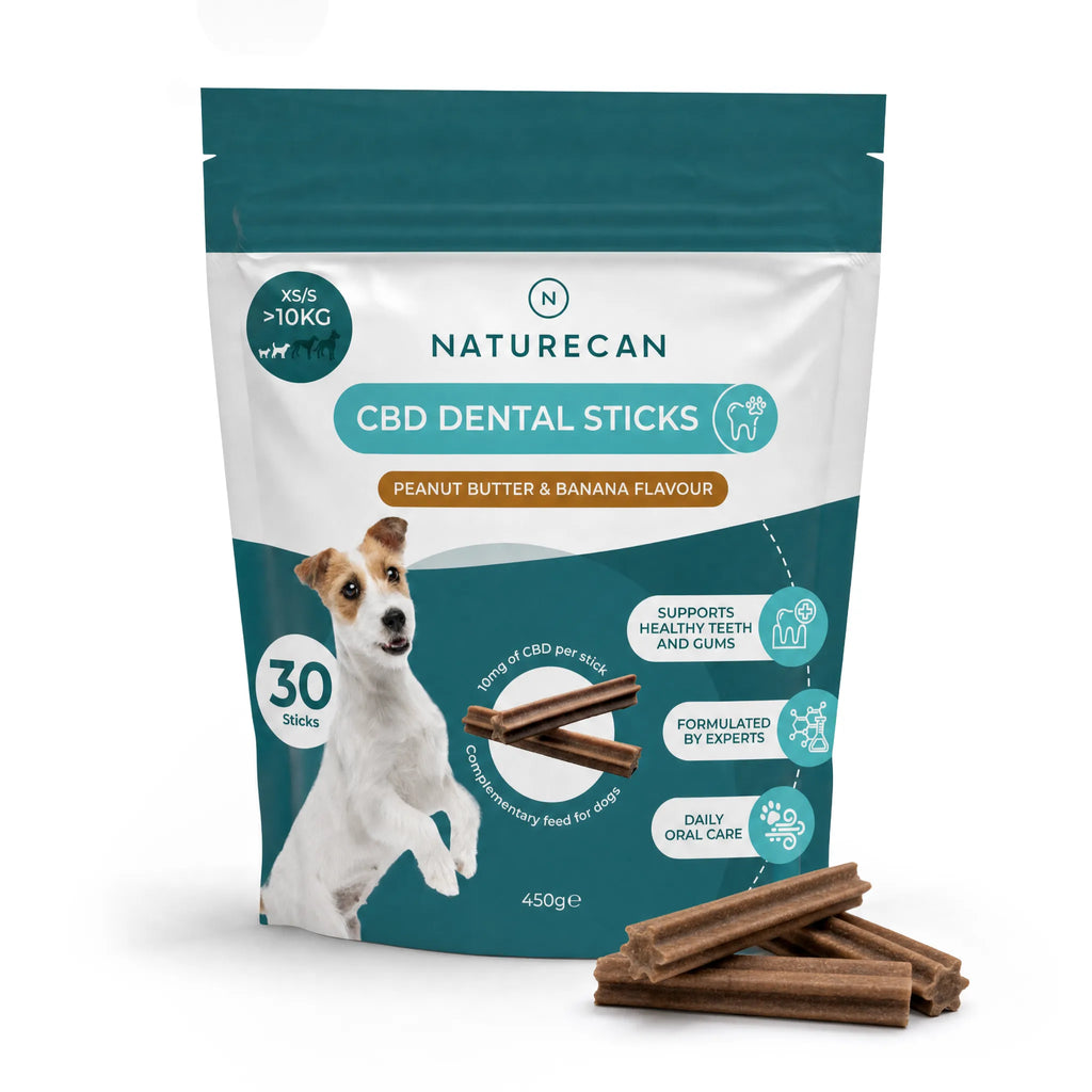 Barritas dentales con CBD para perros
