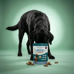 Chuches CBD relajantes para perros