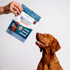 Chuches CBD relajantes para perros