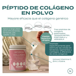péptidos de colágeno con verisol, tendoforte y fortigel