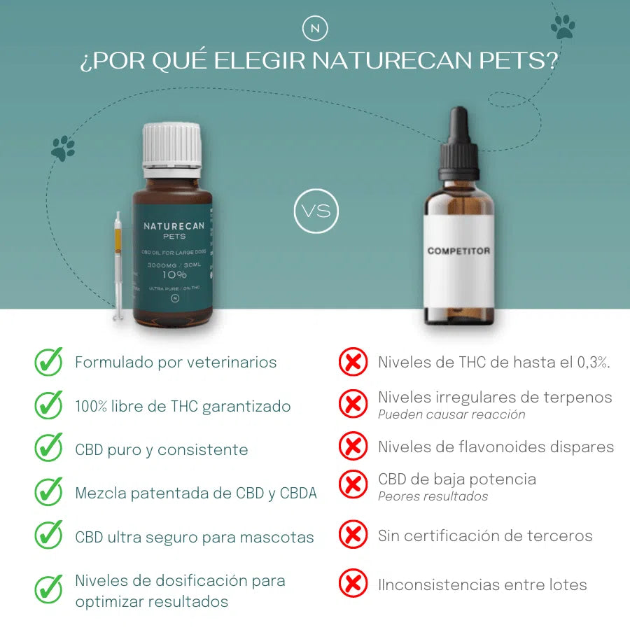 Aceite de CBD para gatos