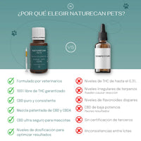 Aceite de CBD para gatos
