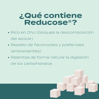 Cápsulas de apoyo a la glucosa - Reducose