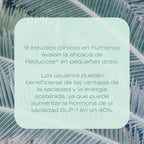 Cápsulas de apoyo a la glucosa - Reducose