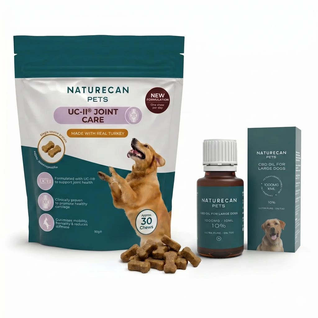 Pack articulaciones para perros
