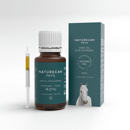 Aceite CBD para Caballos