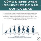 NMN Cápsulas | potenciador de NAD+
