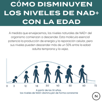 NMN Cápsulas | potenciador de NAD+