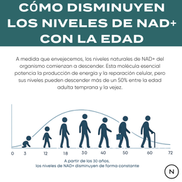 NMN Cápsulas | potenciador de NAD+