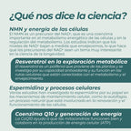 Complemento Alimenticio Longevidad