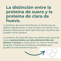 Proteína de clara de huevo