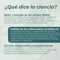 Pack Salud Mitocondrial