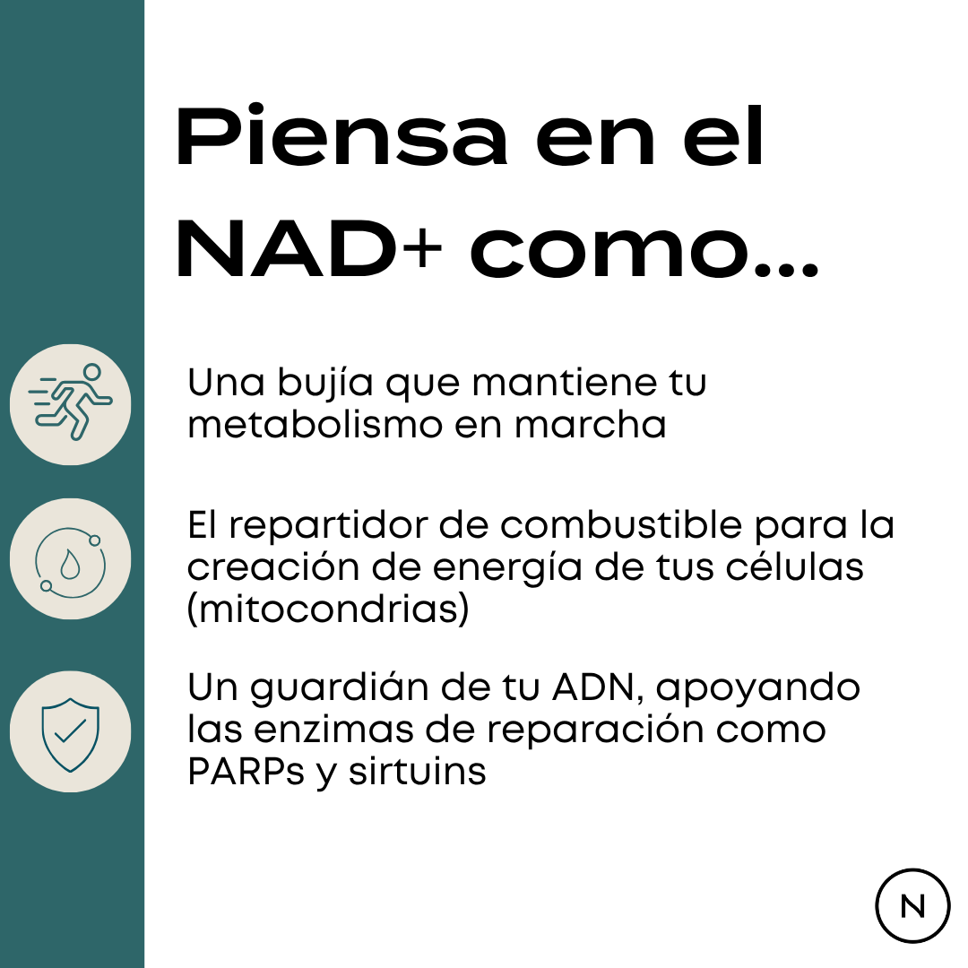 Suplemento de NAD (NR)