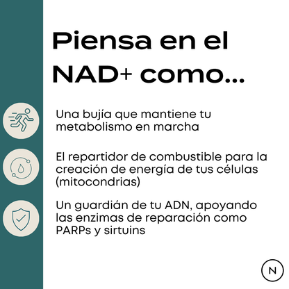 Suplemento de NAD (NR)