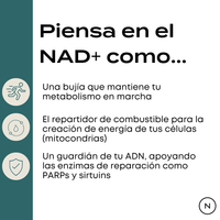 Suplemento de NAD (NR)