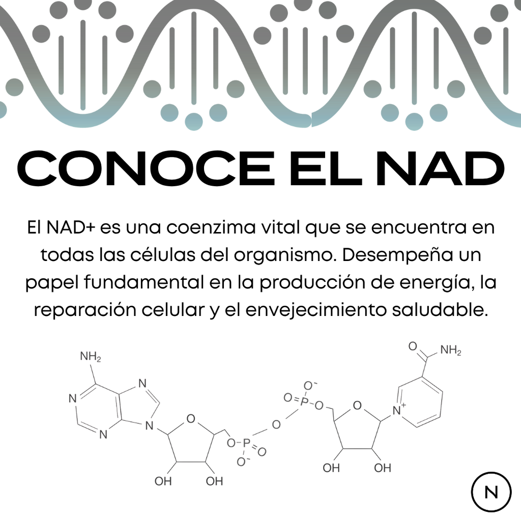 NMN Cápsulas | potenciador de NAD+