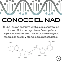 Suplemento NAD (NR) de Naturecan