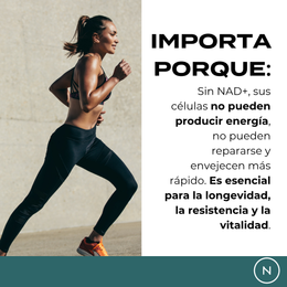 NMN Cápsulas | potenciador de NAD+