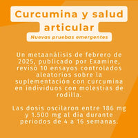 explicación de la curcumina activa