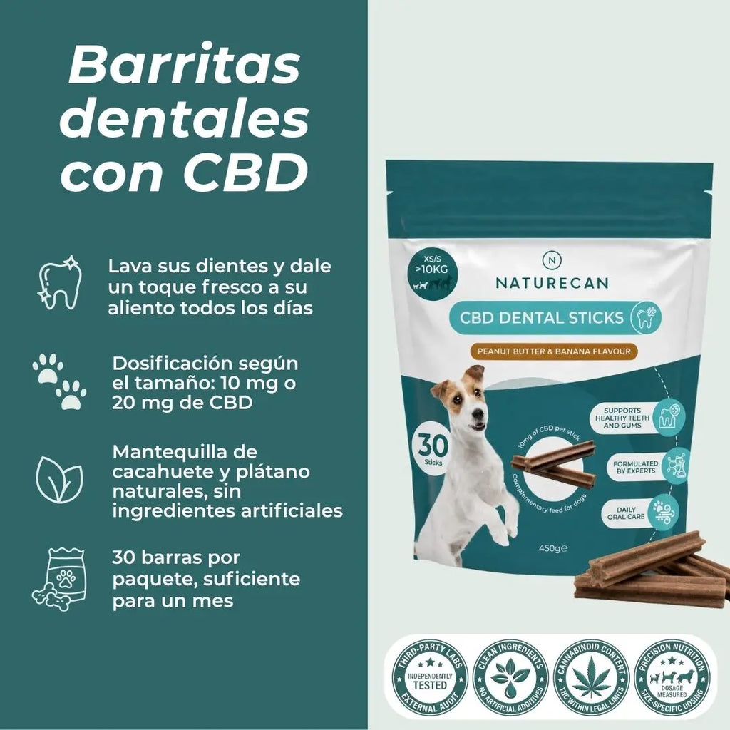Barritas dentales con CBD para perros