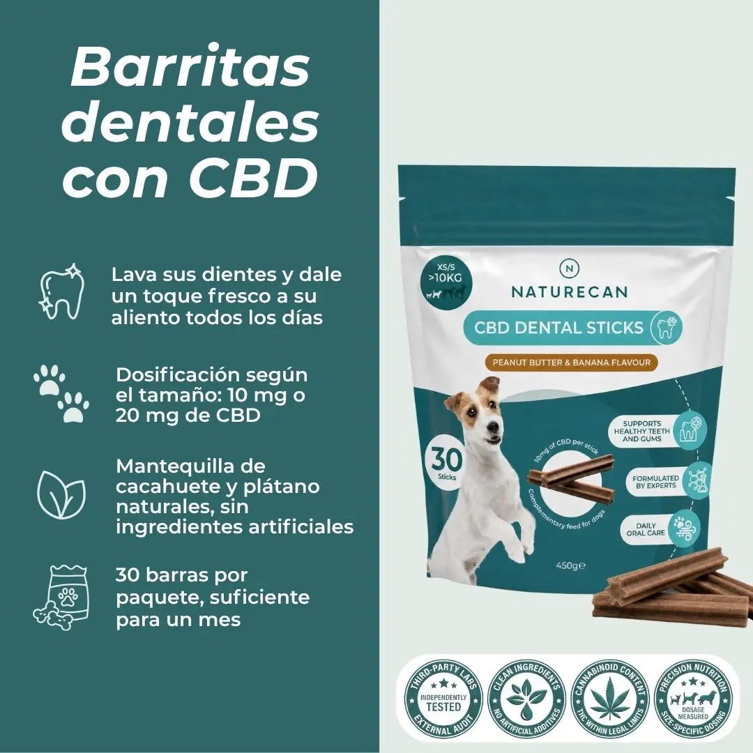Barritas dentales con CBD para perros