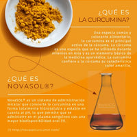 explicación de la curcumina activa